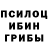 Псилоцибиновые грибы Magic Shrooms Be4stPlays