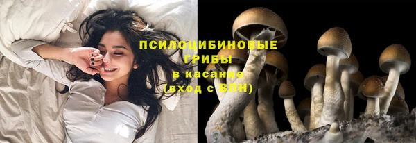 COCAINE Алексеевка